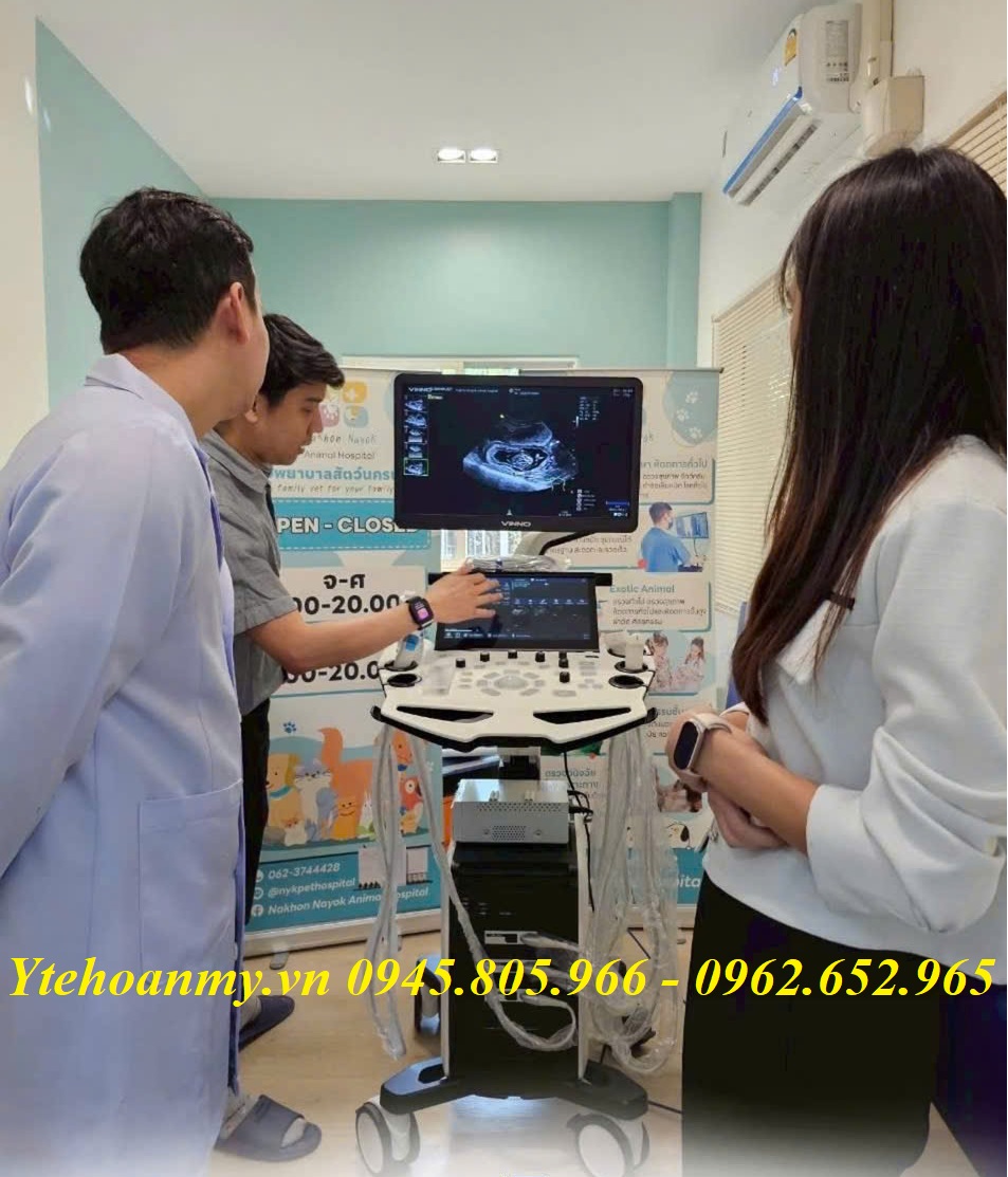 Top 3 Mẫu Máy Siêu Âm Thú Y Chất Lượng Cao Các Bác Sỹ Nên Mua